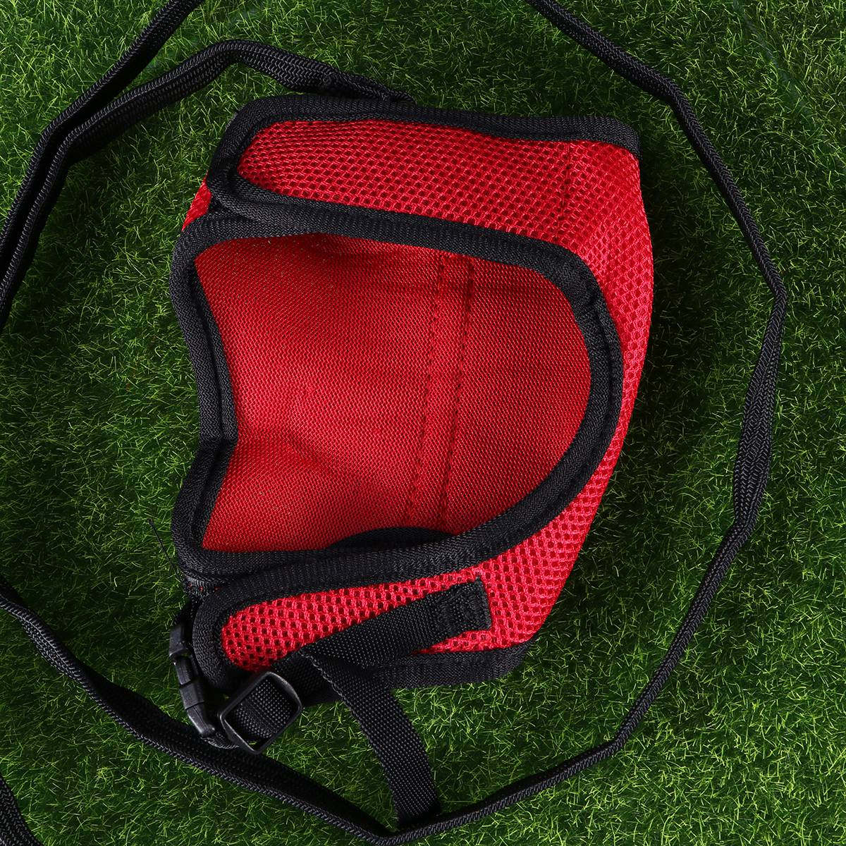 Running Gear Rabbit - Coleira e Guia para Coelhos Ajustável,